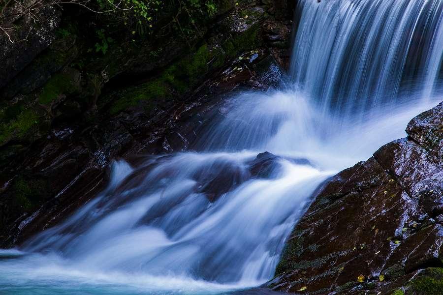 南北“互换串门”过年更热闹！深圳推多项活动迎新春旅游热潮